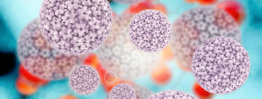 WHO empfiehlt einmalige HPV-Impfung (xrender/Shutterstock.com)