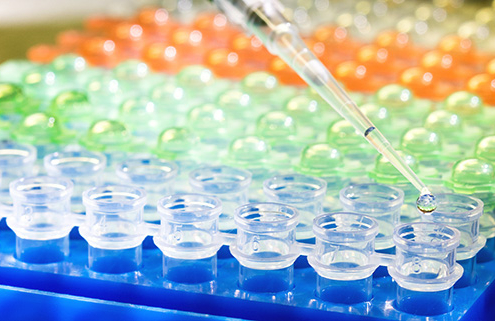 Bearbeitung von Proben einer Liquid Biopsy